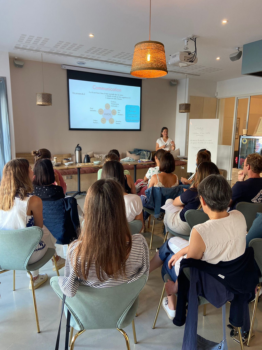 Formation sur l'hypnoanalgésie animée par le docteur Marine Sochat